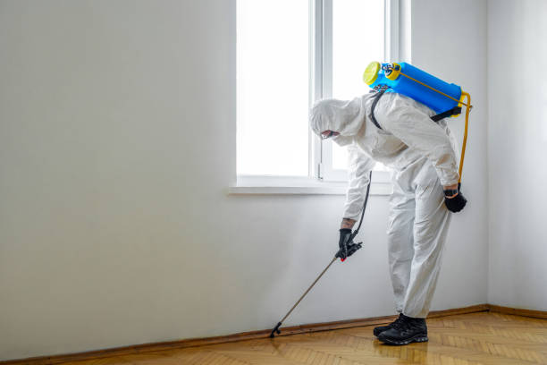 Professional Pest Control in Williston, FL